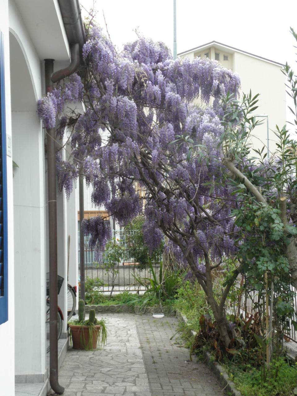 La Suite Di Rita Giulianova Exterior photo