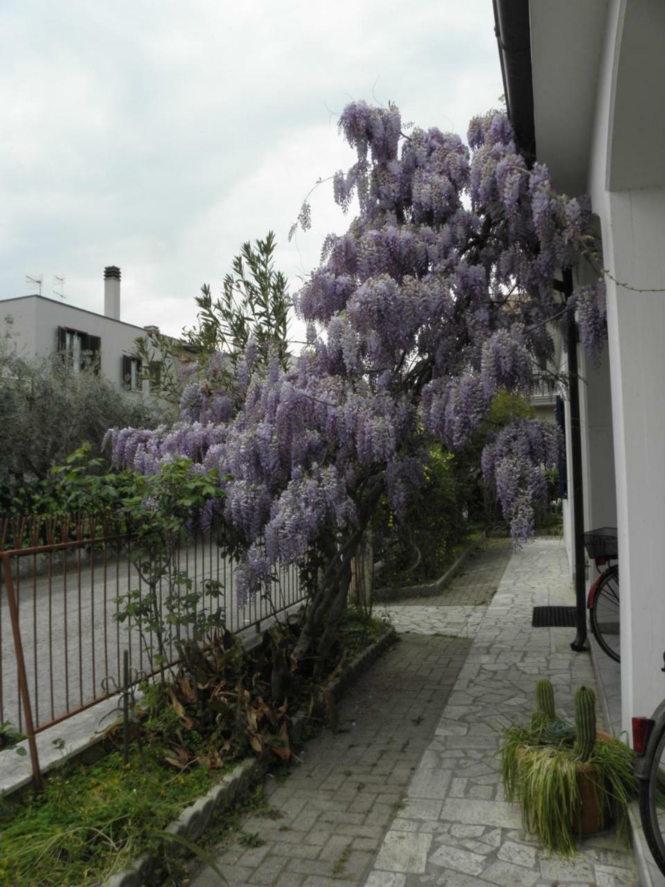 La Suite Di Rita Giulianova Exterior photo